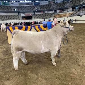 Meet your Posher, Rob